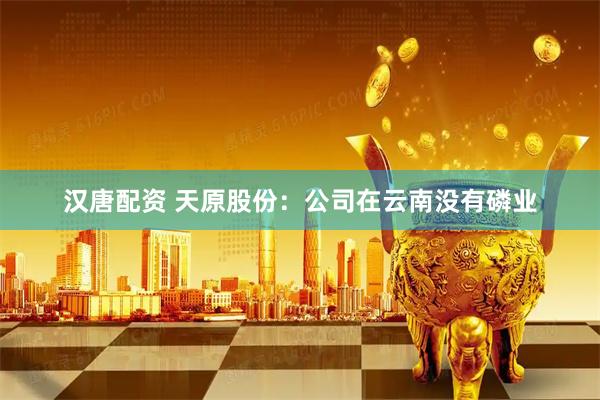 汉唐配资 天原股份：公司在云南没有磷业