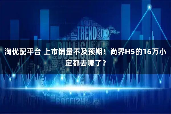 淘优配平台 上市销量不及预期！尚界H5的16万小定都去哪了？