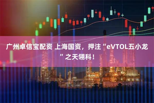 广州卓信宝配资 上海国资，押注“eVTOL五小龙”之天翎科！